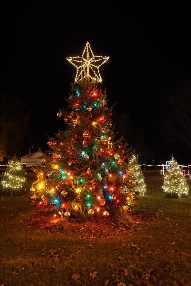 Christmas tree with colorful lights and star topper outside.